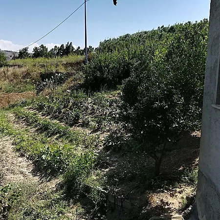 Cifuliana Village *